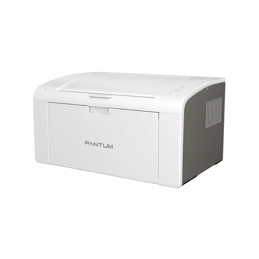 Pantum P2509 Laser A4  Noir et Blanc 22PPM 4